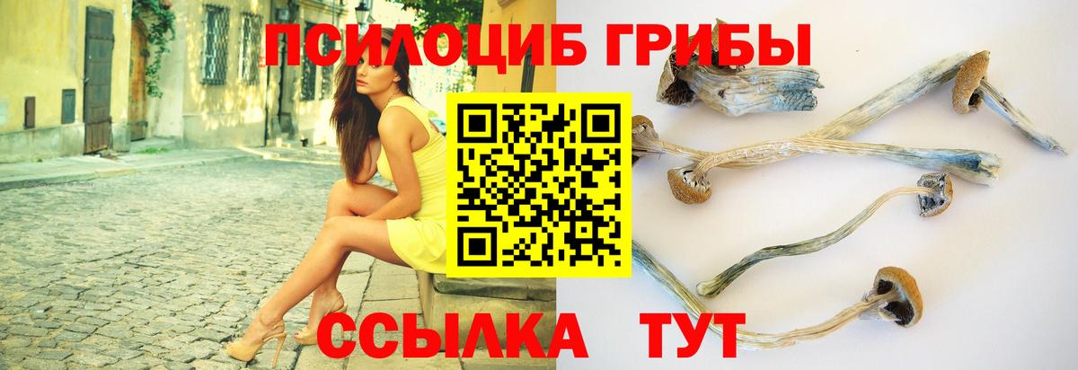 Рыбинск  Псилоцибиновые грибы ЛСД  Псилоцибиновые грибы Psilocybe  Вход с VPN 